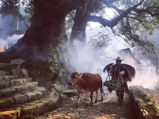 逃出奶油苹果屋
