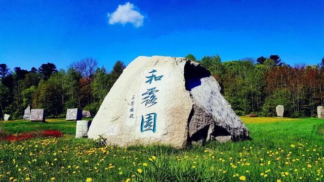 豆娃爱糖果3
